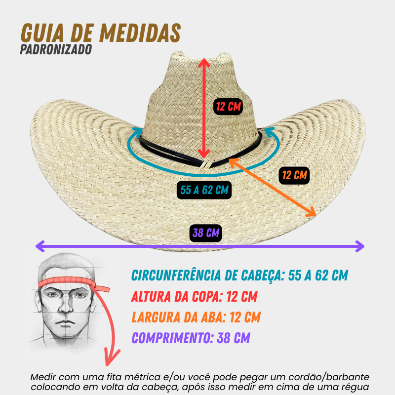 Chapéu modelo Americano palha fina com bandinha de couro e aplique de pena